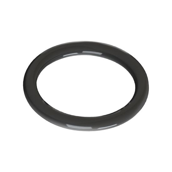 anillo-de-sellado-glandula-PG